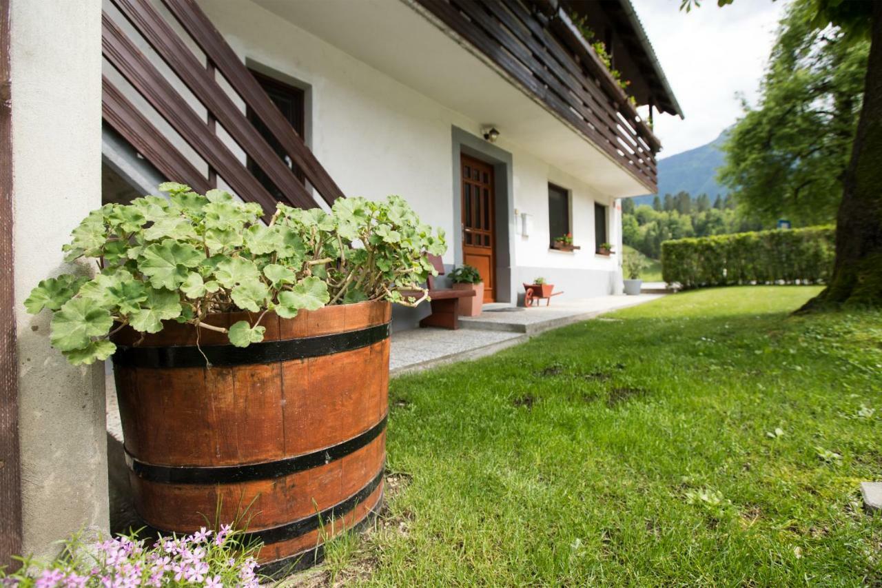 Apartma Pr Gatej Bohinji-tó Kültér fotó