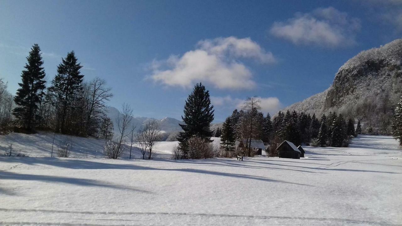 Apartma Pr Gatej Bohinji-tó Kültér fotó