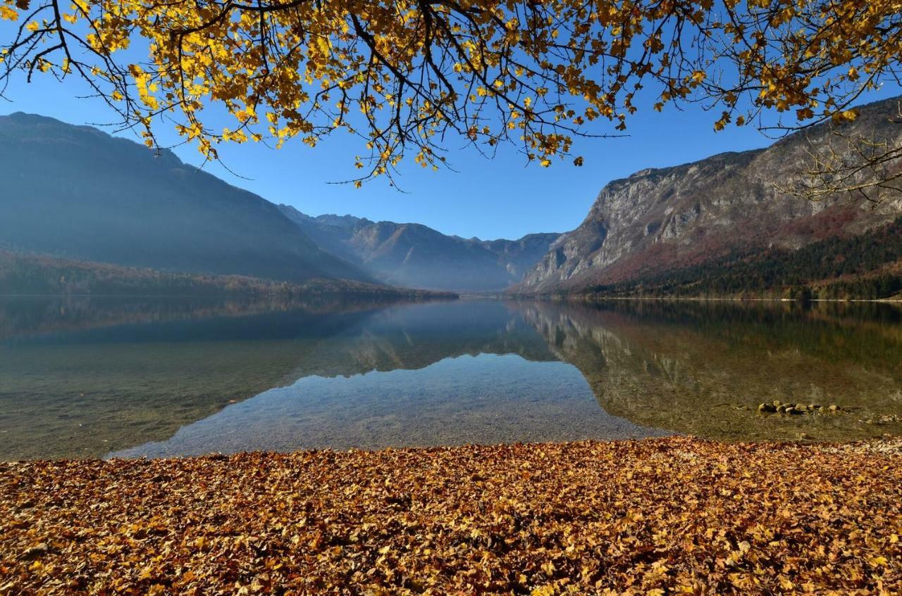 Apartma Pr Gatej Bohinji-tó Kültér fotó