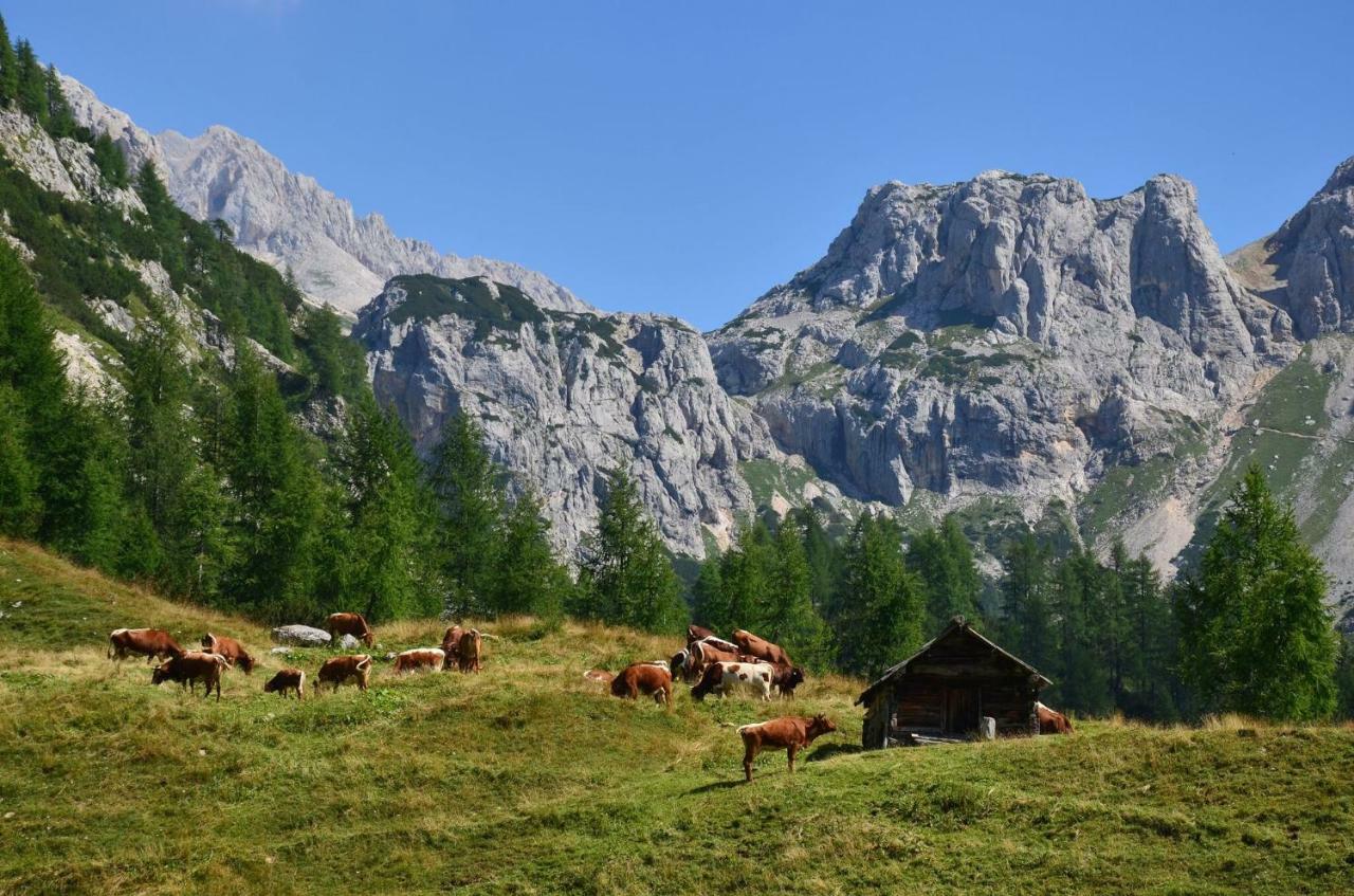 Apartma Pr Gatej Bohinji-tó Kültér fotó